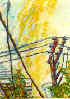 Power Lines Drawing